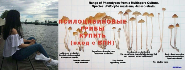 ALPHA-PVP Киреевск
