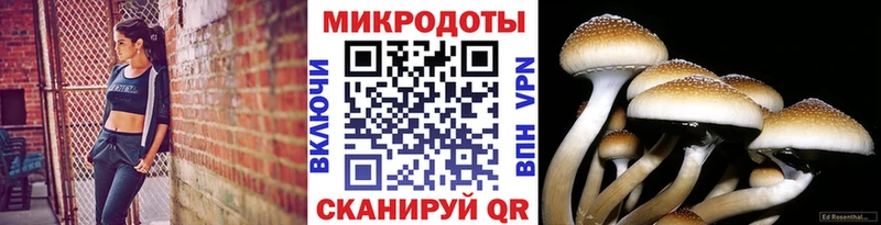kraken сайт  Нижняя Салда  Псилоцибиновые грибы MAGIC MUSHROOMS  наркошоп 